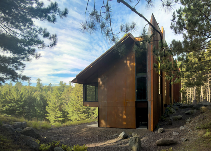 side view of cool boreal forest studio