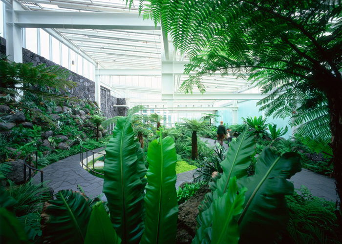 Conservatory Interior